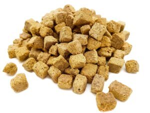FREEZE DRIED ARTEMIA CUBES