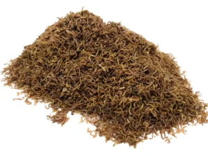 FREEZE DRIED BLOODWORM LARVAE